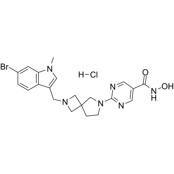 HDAC1-IN-4 2482998-39-8